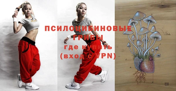 прущие крисы Михайловск