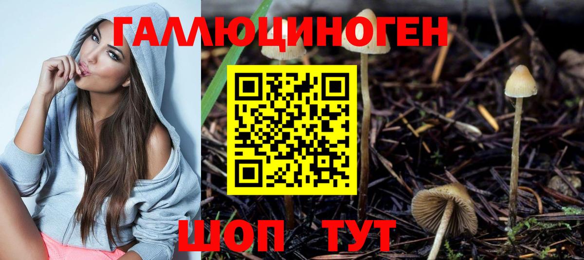 даркнет сайт  Вход с VPN  Тулун  Псилоцибиновые грибы MAGIC MUSHROOMS 